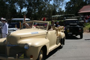 salis6