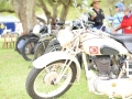 Salisbury Australia Day  (4)