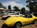 Show n Shine (15)