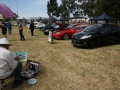 Show n Shine (16)