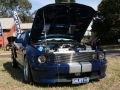 Show n Shine (6)