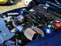 Show n Shine (8)